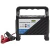 Ring 12v 6a Essentials Battery Charger - Black